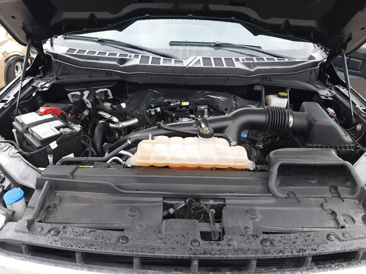 2022 FORD F150 SUPERCREW VIN:1FTEW1EP3NFA65882