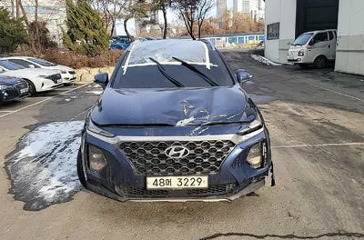 2019 Hyundai Santa FE KMHS381BBKU048278 VIN:KMHS381BBKU048278