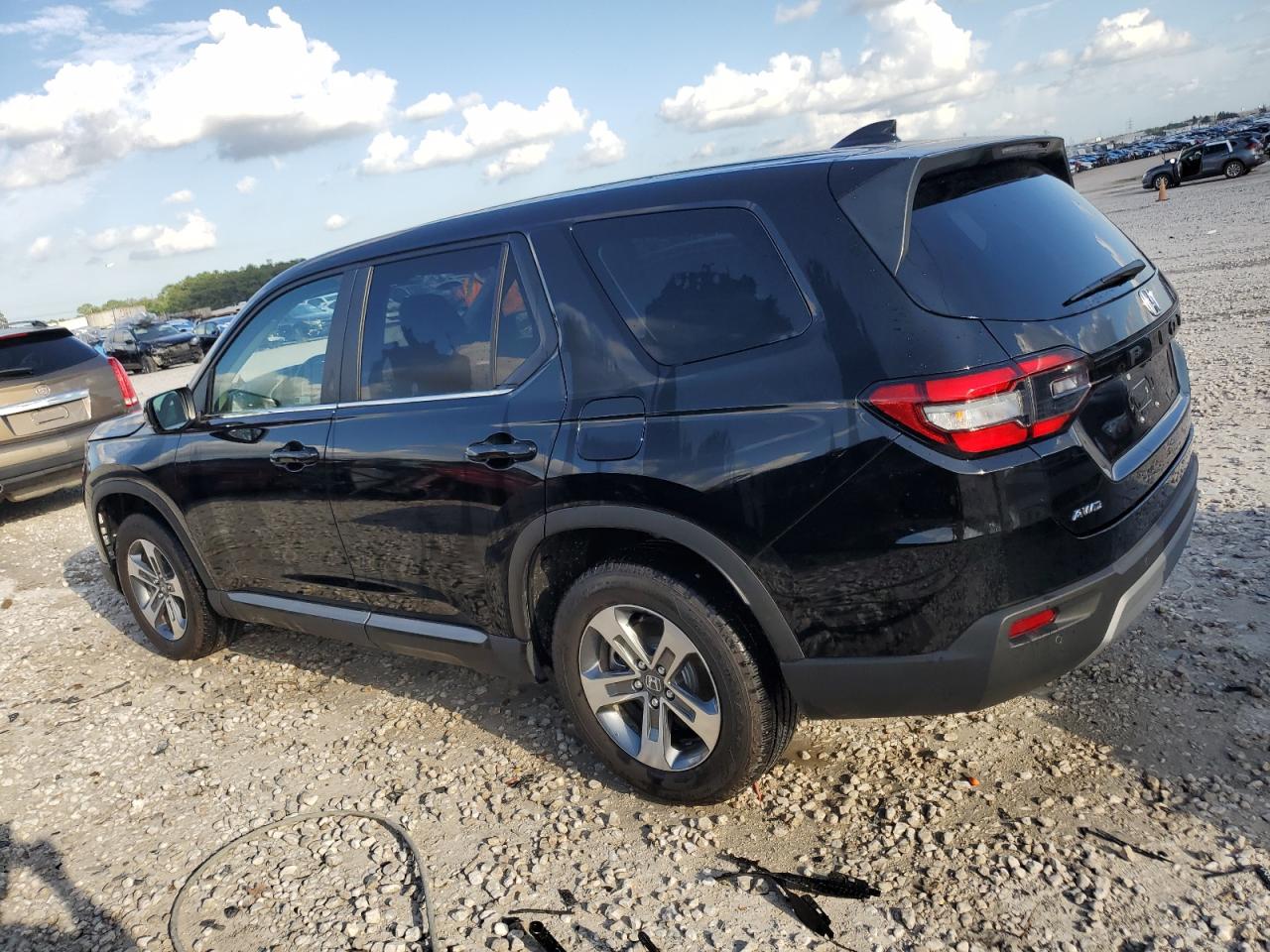 2024 HONDA PILOT EXL VIN:5FNYG1H56RB001964