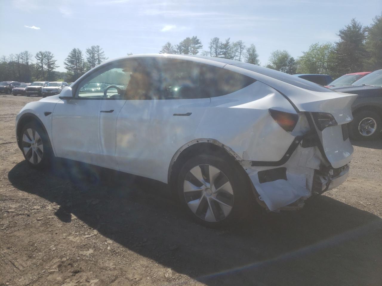 2023 TESLA MODEL Y  VIN:7SAYGDEE2PF685336