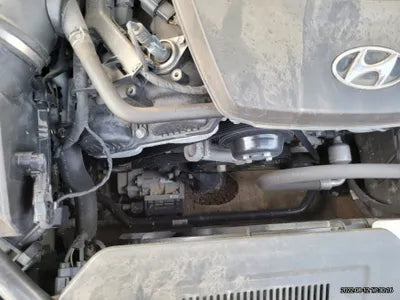 2016 acupuncture nessis 3.3 VIN: