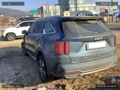 2021 Kia Sorento KNARK81GBNA061662 VIN:KNARK81GBNA061662