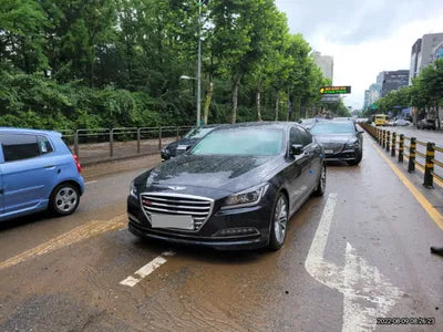 2016 acupuncture nessis 3.3 VIN: