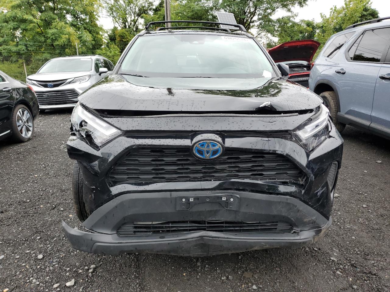 2023 TOYOTA RAV4 XLE VIN:4T3RWRFV9PU094334