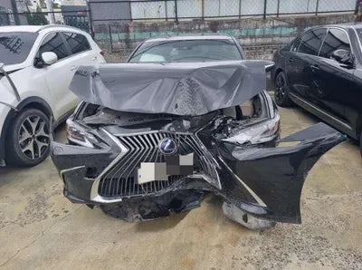 2019 Lexus ES 300 JTHB21B10K2023749 VIN:JTHB21B10K2023749