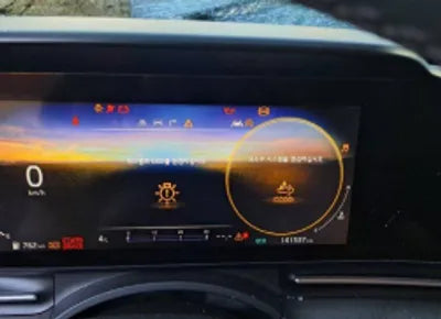 2021 Kia Carnival KNANC81BBMS018195 VIN:KNANC81BBMS018195