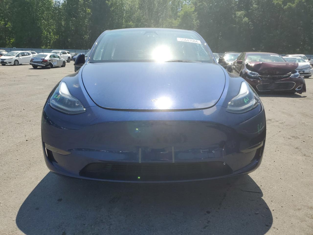 2023 TESLA MODEL Y  VIN:7SAYGDEE3PF663295