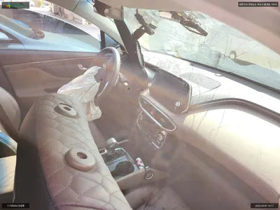 2019 Hyundai Santa FE KMHS381ABLU197927 VIN:KMHS381ABLU197927