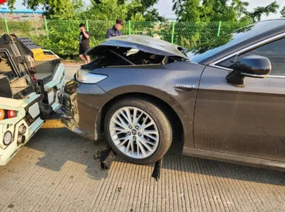 2019 Toyota Camry JTNB21HK5K3049576 VIN:JTNB21HK5K3049576