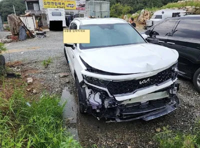 2023 Kia Sorento KNARG81FHPA195674 VIN:KNARG81FHPA195674