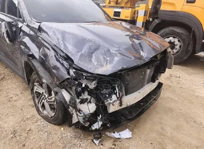 2021 Hyundai Santa FE KMHS281HGMU326998 VIN:KMHS281HGMU326998