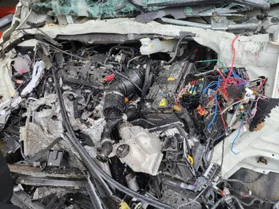 2021 Kia Carnival KNANC81BBMS128216 VIN:KNANC81BBMS128216