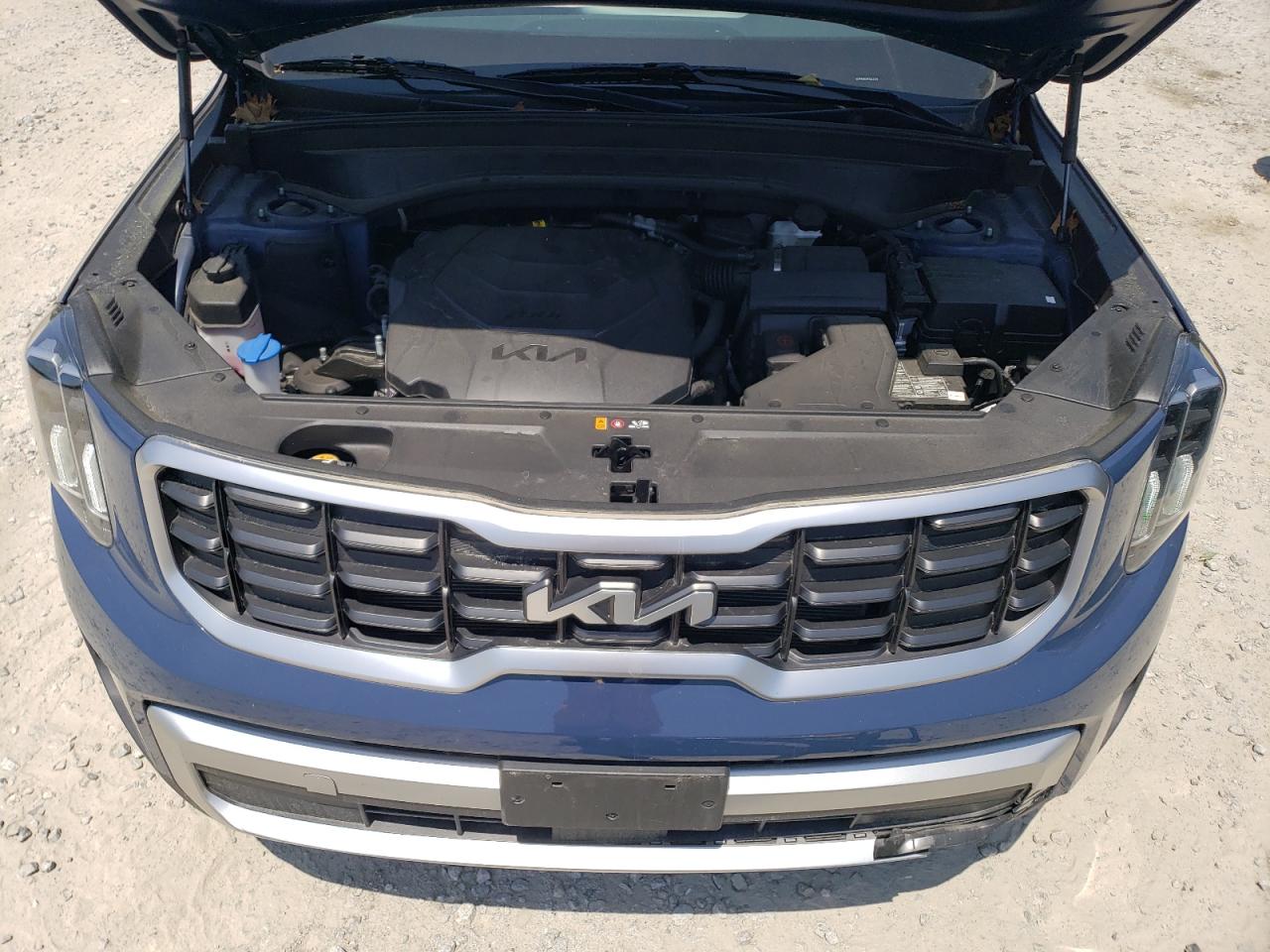 2023 KIA TELLURIDE S VIN:5XYP64GC9PG325190