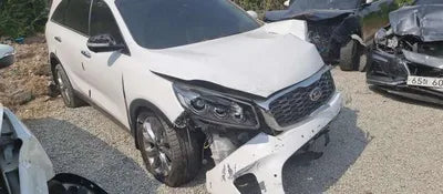2019 Kia Sorento KNAPS81BBLA564800 VIN:KNAPS81BBLA564800