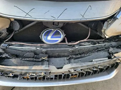 2019 Lexus ES 300 JTHB21B12K2049785 VIN:JTHB21B12K2049785