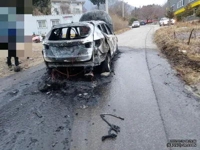 2017 Hyundai Santa FE KMHSW81UBJU806107 VIN:KMHSW81UBJU806107