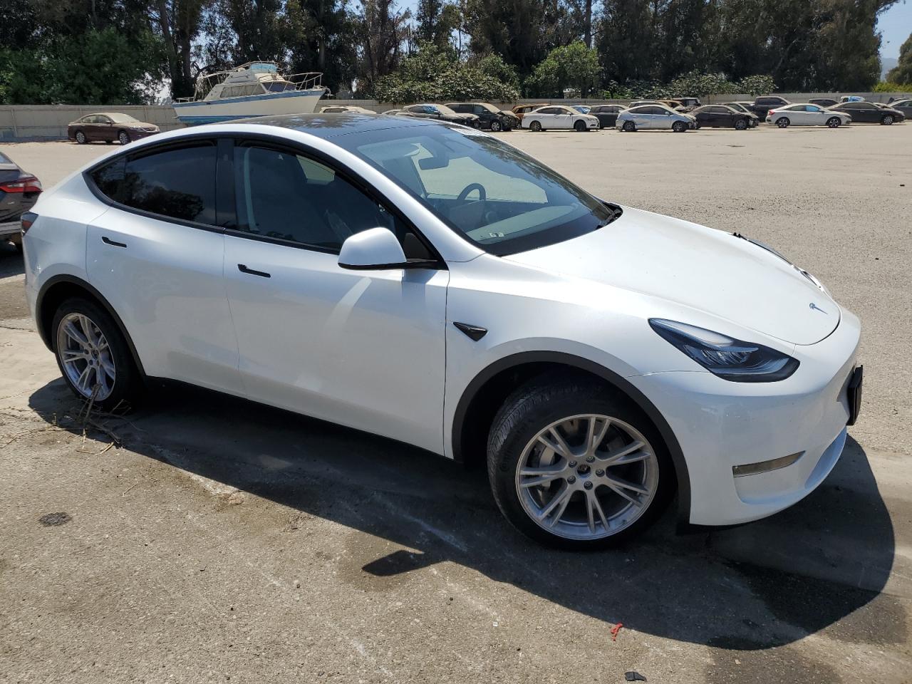 2023 TESLA MODEL Y  VIN:7SAYGDEE3PA124379