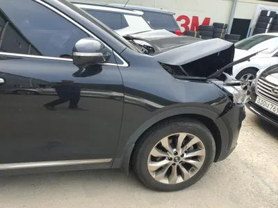 2019 Kia Sorento KNAPS81ABLA614119 VIN:KNAPS81ABLA614119