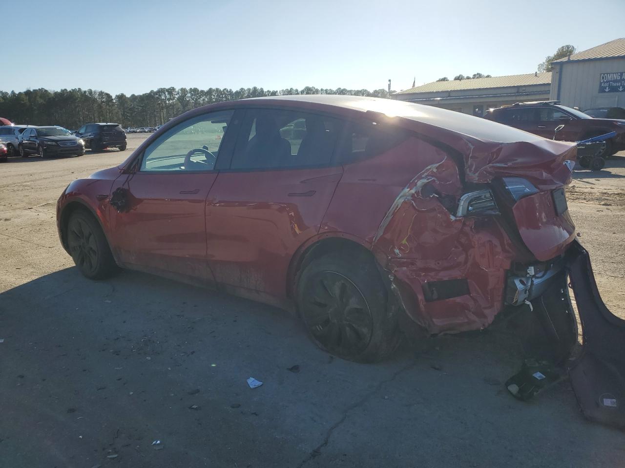 2023 TESLA MODEL Y  VIN:7SAYGDEE8PF684949