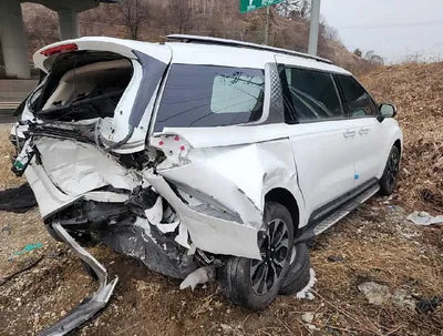 2022 Kia Carnival KNANE81BBNS170565 VIN:KNANE81BBNS170565