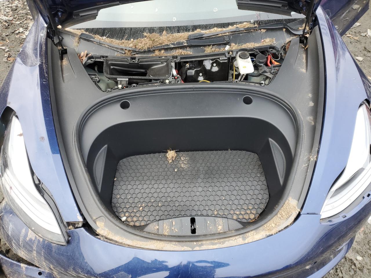 2022 TESLA MODEL 3  VIN:5YJ3E1EA2NF342659