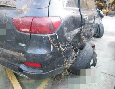 2019 Kia Sorento VIN: