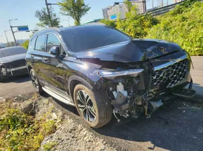 2019 Hyundai Santa FE 986KMKMHS381ABKU0 VIN:986KMKMHS381ABKU0