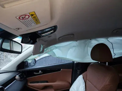 2019 Kia Sorento KNAPS81BBKA545743 VIN:KNAPS81BBKA545743