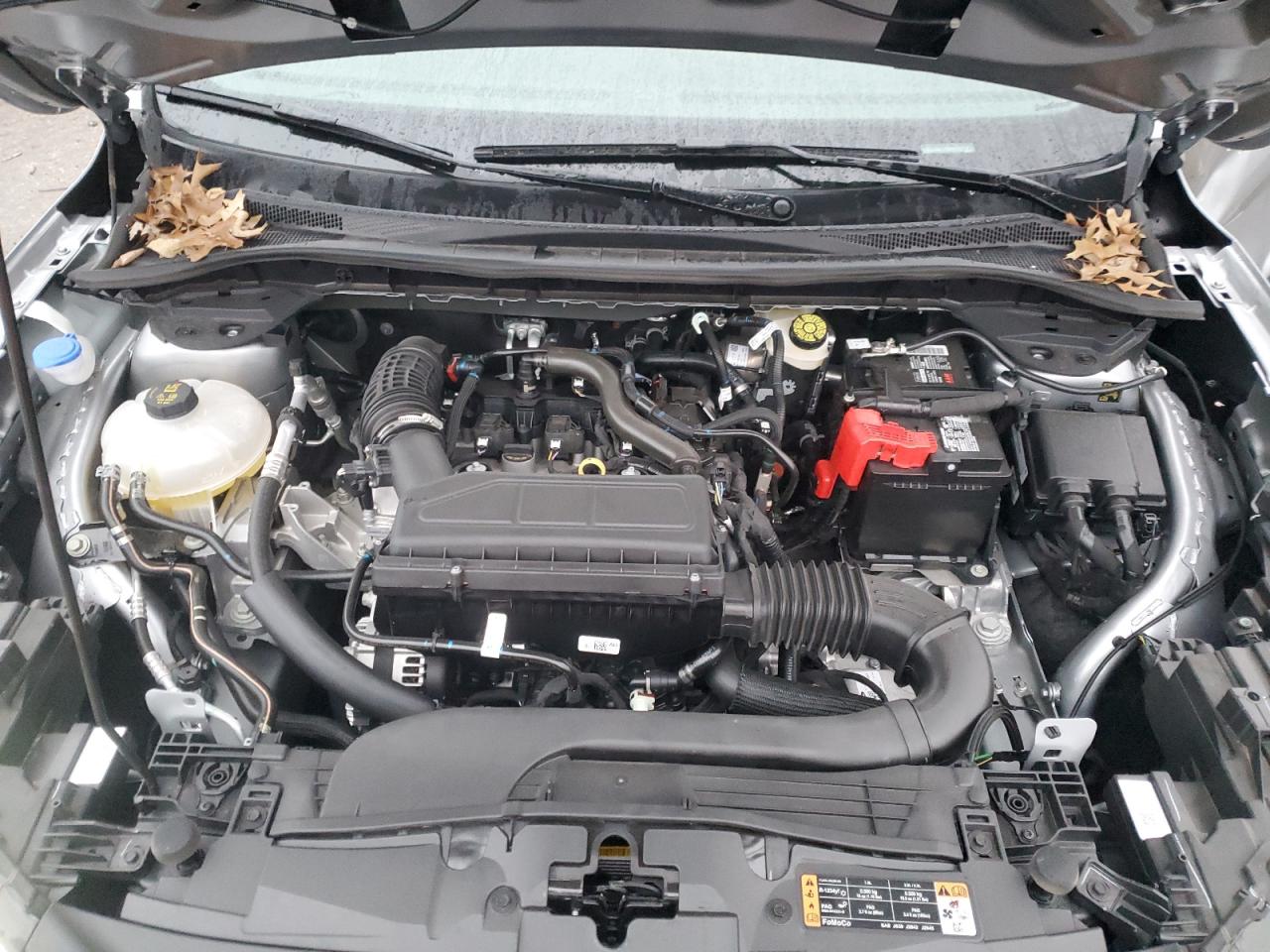2024 FORD ESCAPE ACTIVE VIN:1FMCU0GN1RUB06283