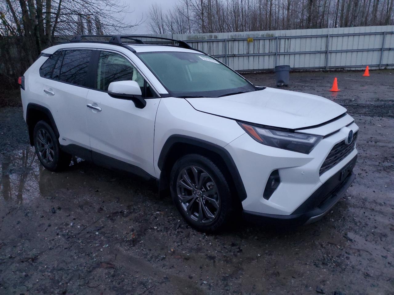 2023 TOYOTA RAV4 LIMITED VIN:JTMD6RFV5PD099358