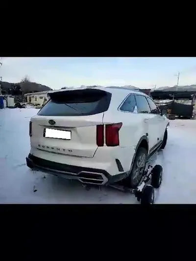 2020 Kia Sorento KNARL81BGMA067027 VIN:KNARL81BGMA067027