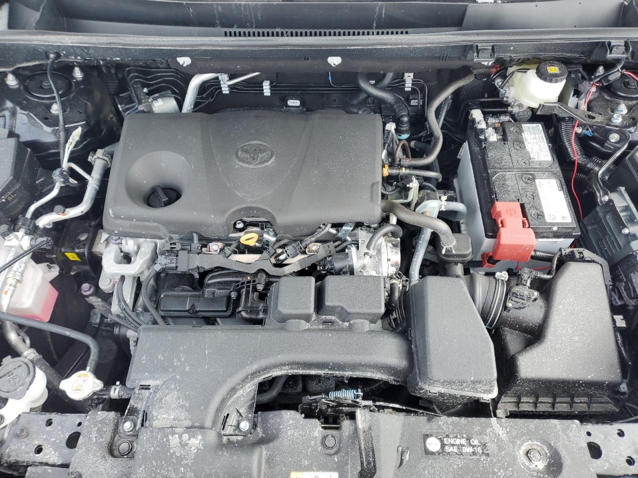 2024 TOYOTA RAV4 XLE VIN:2T3R1RFV8RC486658