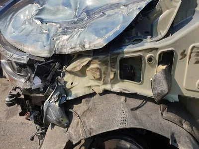 2021 Kia Carnival KNANC813BMS119768 VIN:KNANC813BMS119768