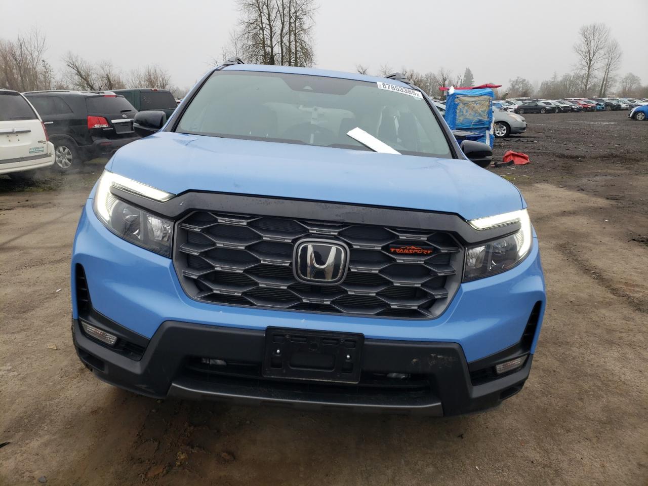 2024 HONDA PASSPORT TRAIL SPORT VIN:5FNYF8H65RB013169
