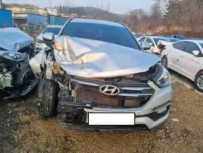 2018 Hyundai Santa FE KMHSW81UBJU779959 VIN:KMHSW81UBJU779959