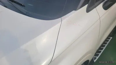 2021 Kia Carnival KNANE81BBMS067503 VIN:KNANE81BBMS067503