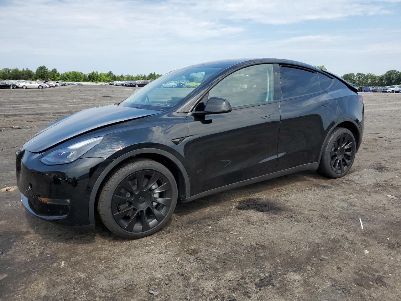 2023 TESLA MODEL Y  VIN:7SAYGDEE5PF835763