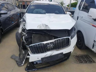 2019 Kia Sorento KNAPS81ABKA545542 VIN:KNAPS81ABKA545542
