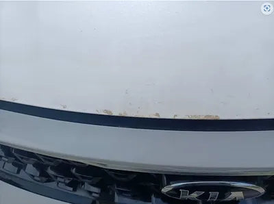 2021 Kia Sorento KNARK81BHMA010781 VIN:KNARK81BHMA010781