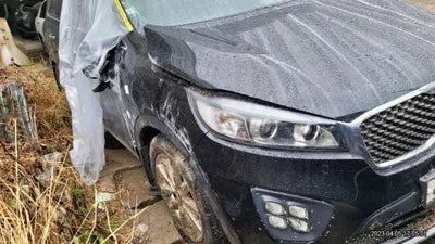 2016 Kia Sorento KNAPK81ABGA194335 VIN:KNAPK81ABGA194335