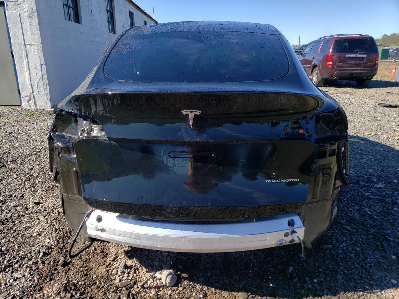 2023 TESLA MODEL Y  VIN:7SAYGDEEXPA024036