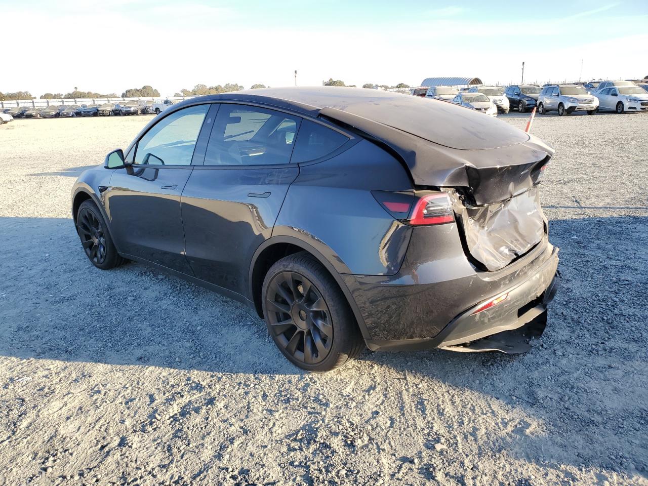 2024 TESLA MODEL Y  VIN:7SAYGDEE6RF118100