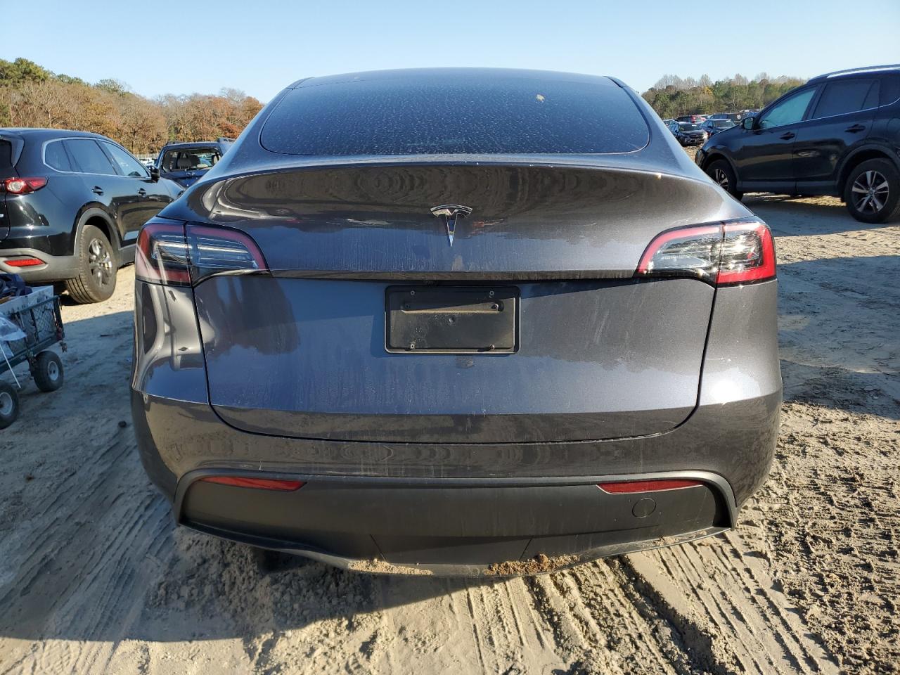 2023 TESLA MODEL Y  VIN:7SAYGDED8PF957265