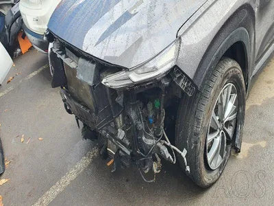 2019 Hyundai Santa FE KMHS281BBKU160055 VIN:KMHS281BBKU160055