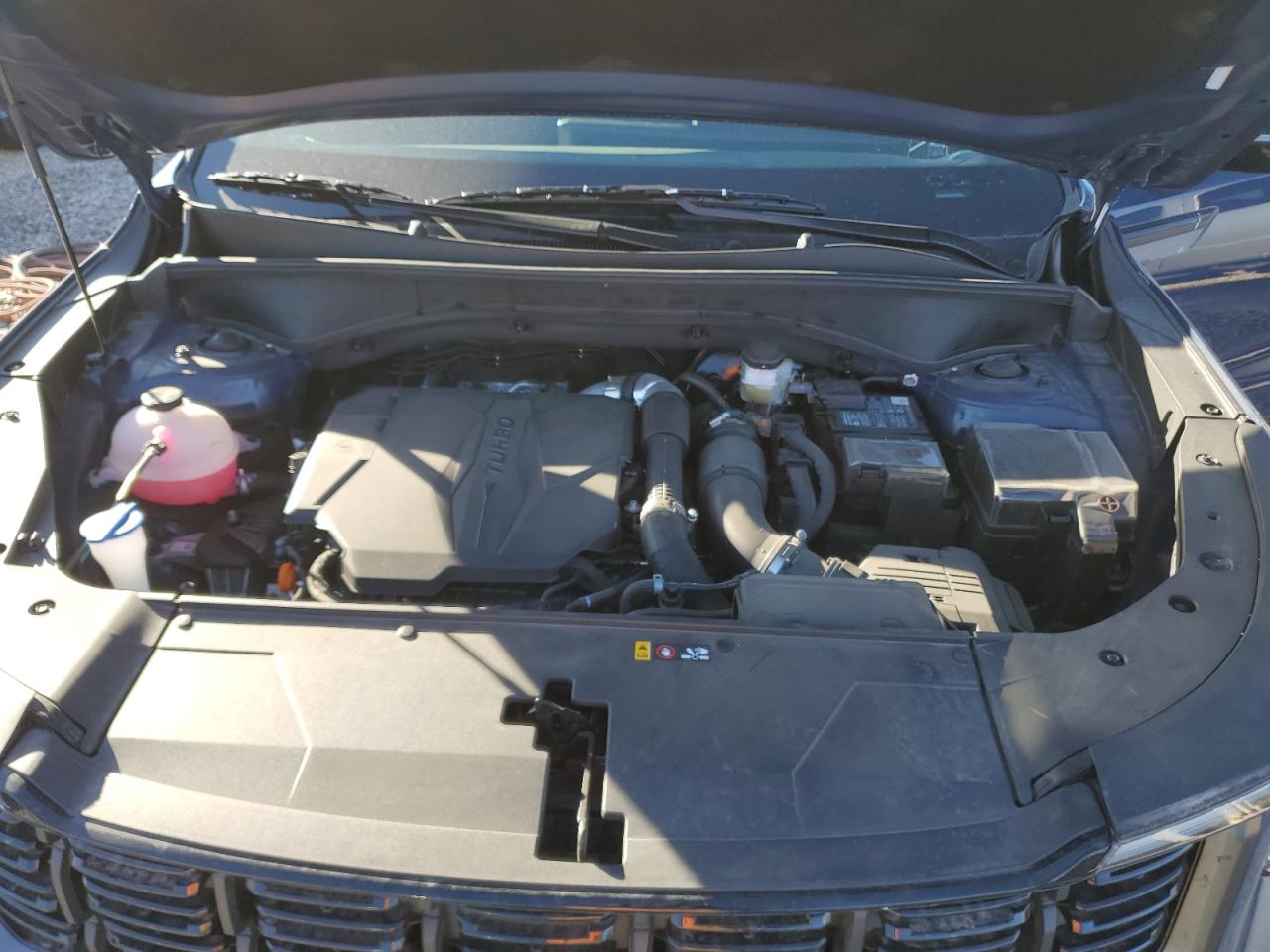 2024 KIA SORENTO EX VIN:5XYRHDJF8RG259790