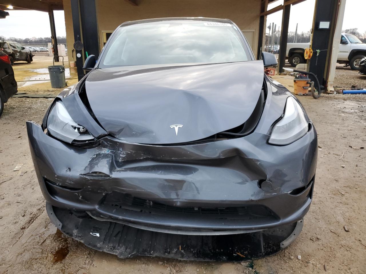 2023 TESLA MODEL Y  VIN:7SAYGDEE5PF788055