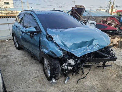 2018 Hyundai Kona KMHK4815GJU216703 VIN:KMHK4815GJU216703