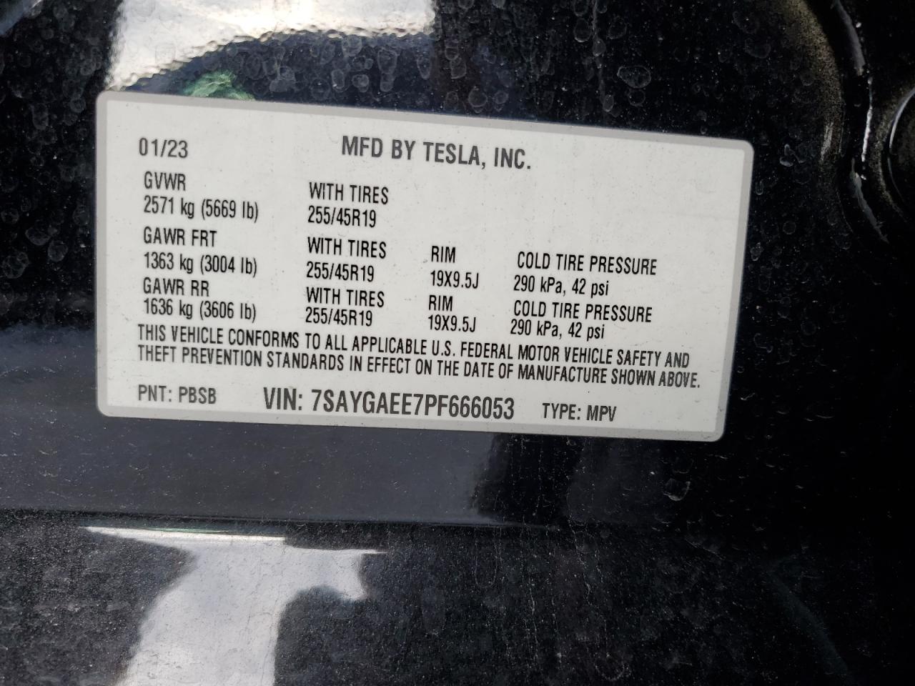2023 TESLA MODEL Y  VIN:7SAYGAEE7PF666053