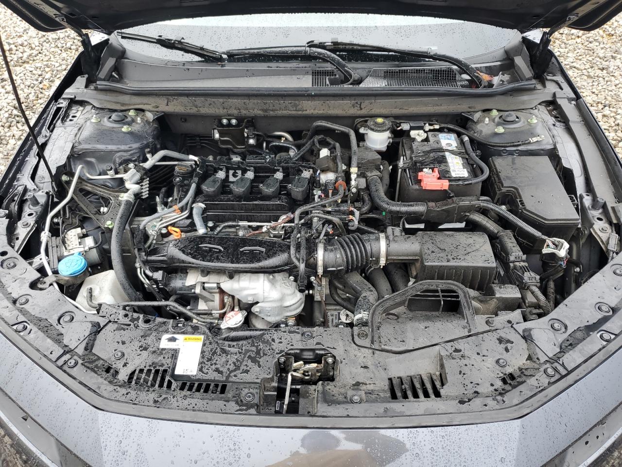 2023 HONDA ACCORD EX VIN:1HGCY1F36PA030901