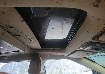 2021 Kia Carnival KNANE81BBMS040998 VIN:KNANE81BBMS040998